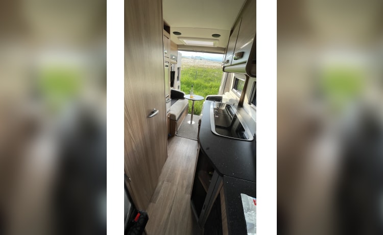 The Catbus  – 4 Berth Swift Select 184 (2017)