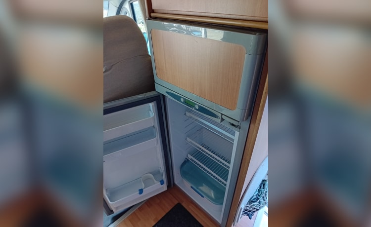 Fiat Ducato Alkoof  airco 6 persoons