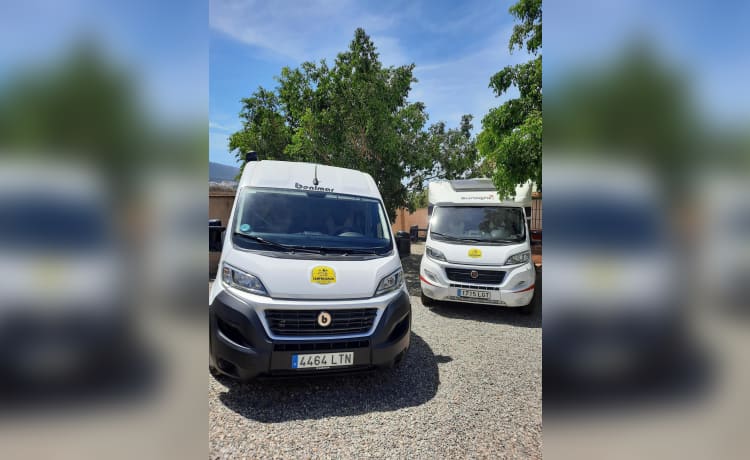 Camper4spain – 4p Sunlight Fiat half integraal 2020 Spanje, Malaga FLY & DRIVE