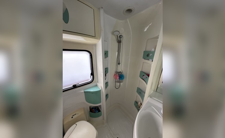 Fiat Ducato (CI Carioca 10) con 5 posti letto del 2002