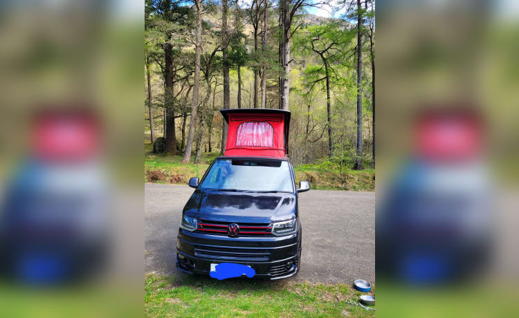 Wee devil – 4 berth Volkswagen campervan from 2014