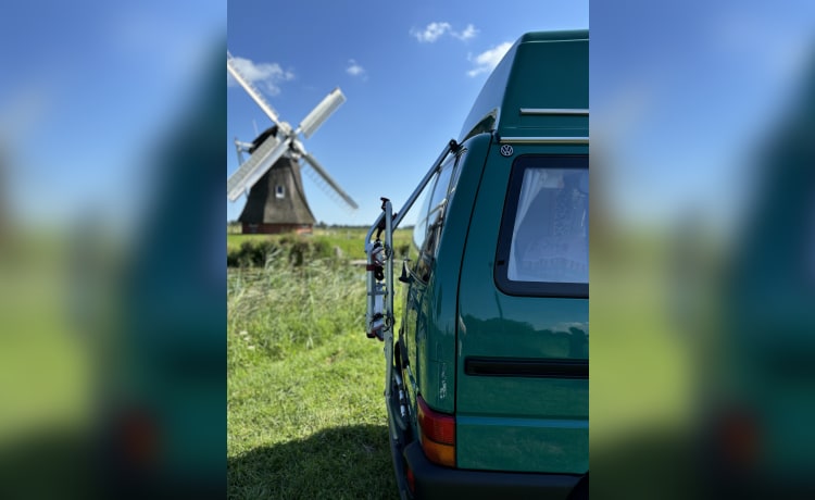 Gus the Bus – Compacte VW Westfalia