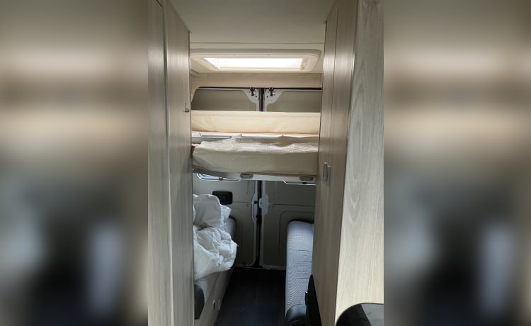 Tribute – 4 berth Autotrail Tribute 669 from 2020