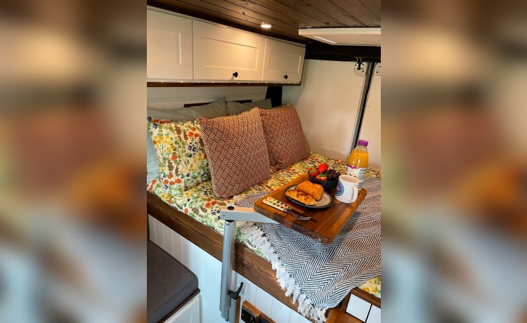 Penny – LWB-camper met twee slaapplaatsen - Fiat Ducato