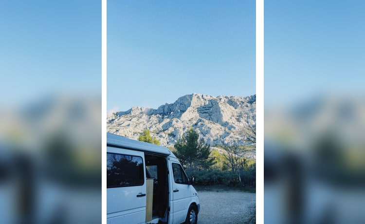 Buzzle – Discover Freedom on Wheels on our Mercedes Sprinter!