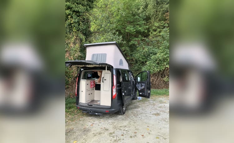 4p Nugget Westfalia Euro6 est autorisé partout !