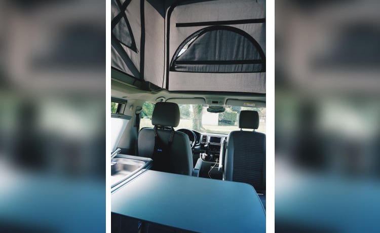 the.VANhoutte – Autobus Volkswagen 4p del 2019