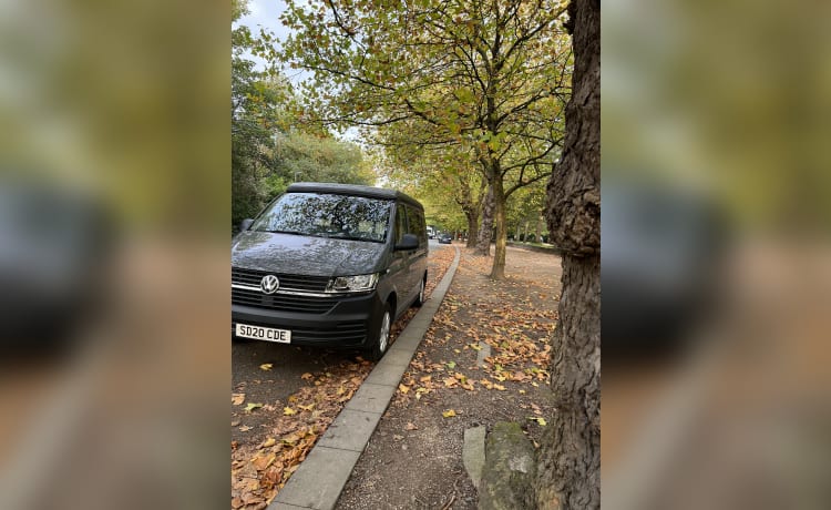 Shelagh – Volkswagen Campervan mit 4 Schlafplätzen 2020 - Versicherung inklusive