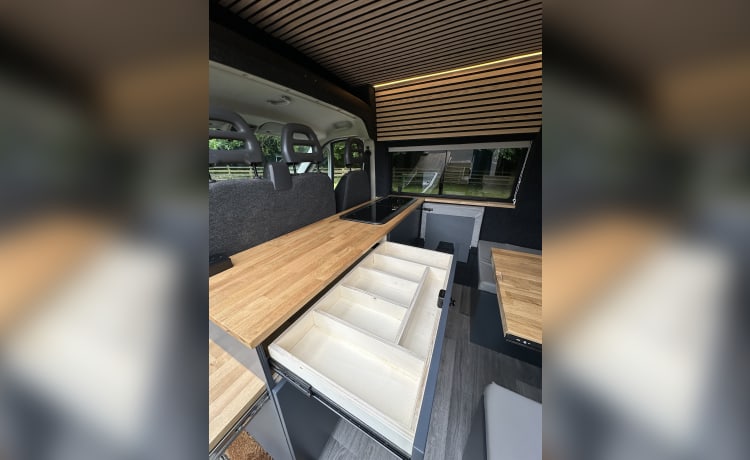 Fiat-camper met 2 slaapplaatsen uit 2016