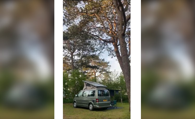 Volkswagen California met elektrisch hefdak 4P