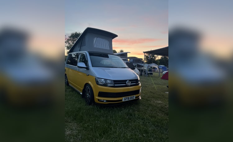 Bumble – 2 berth + 2 kids Volkswagen T6 campervan from 2016