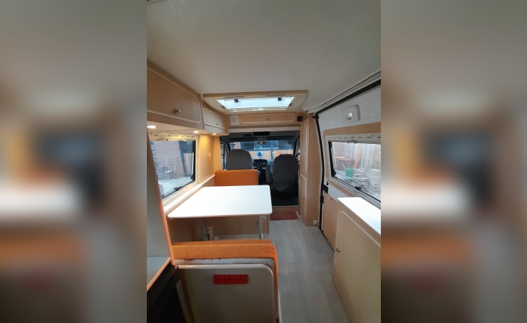 Time out – Fiat 'Safari' camper voor 2 personen