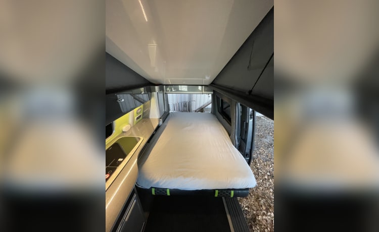 RANGO – Camper Volkswagen 4 posti letto del 2020