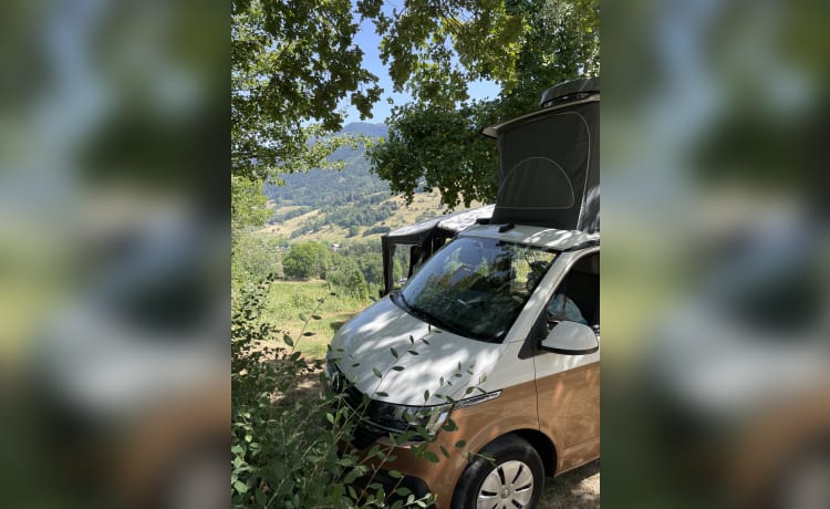 BATmobiel :) – VW California T6.1 met standverwarming