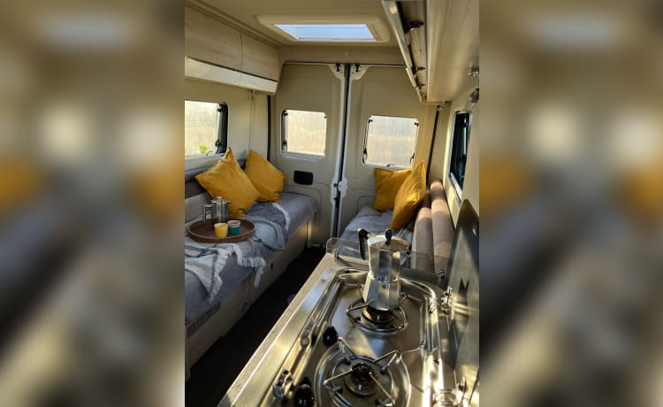 Wee Beastie – 2 Berth Luxury Campervan