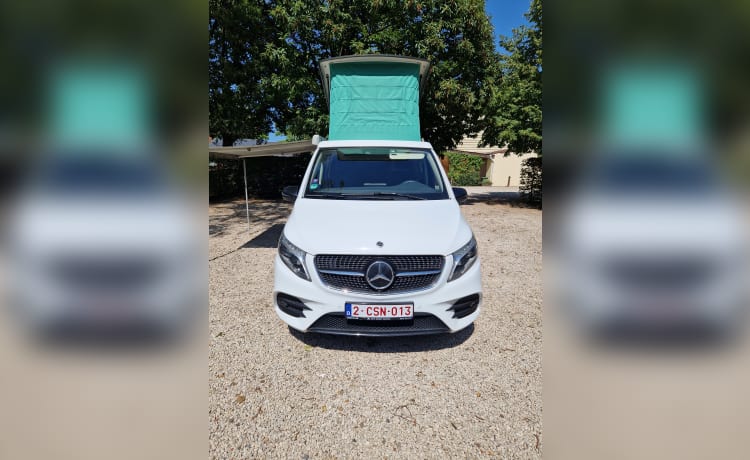 Ligne Mercedes Marco Polo 300D 4x4 AMG