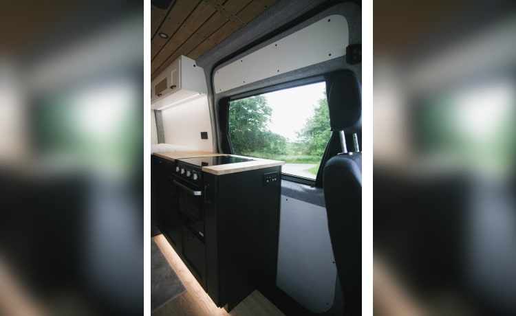 Ian Teal  – Festivalbereiter Campervan mit 2 Schlafplätzen!