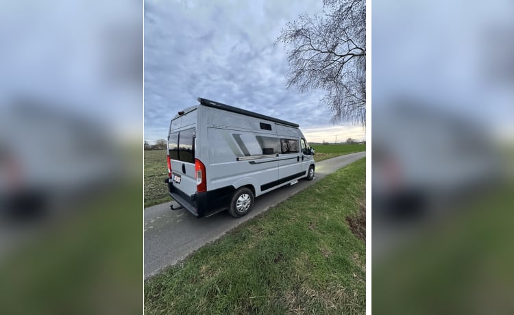 ✅✅Luxus-Campervan von McLouis ✅✅ besonders erschwinglich ✅✅