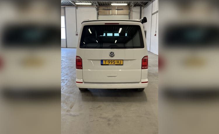 Cali  – Volkswagen California T6 (Werkscamper, Original)