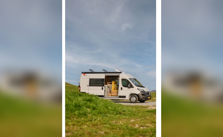 Voor de sfeermakers – 2p Peugeot bus from 2023