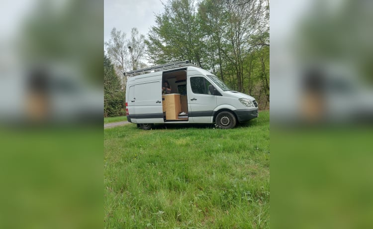 2p Mercedes Sprinter cozy campervan 