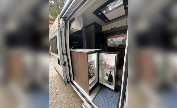 Dr Livingstone – Nuovo vertice possibile, camper bus dell'anno con tetto apribile