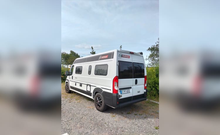 Challenger 6m autarker Campervan mit allem was man braucht