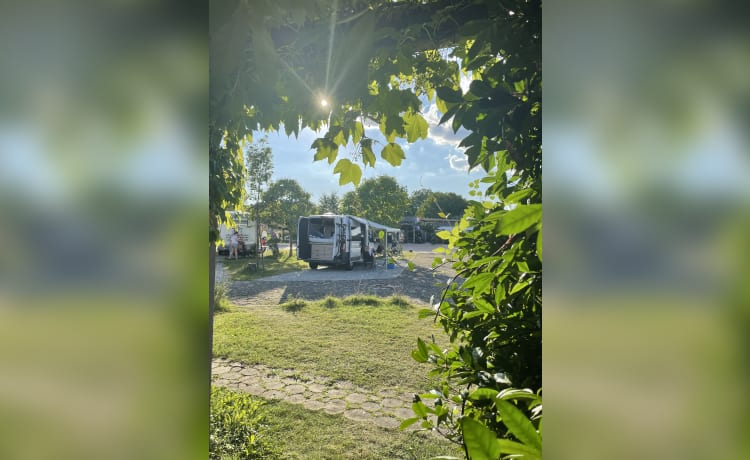 Very neat self-built 2p Fiat Ducato bus from 2016 