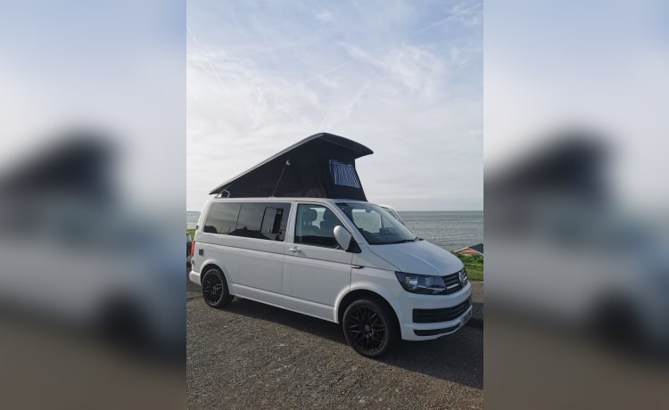 4-persoons Volkswagen campervan uit 2019