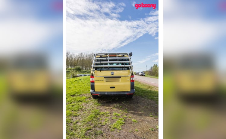 Sunny – 2er Volkswagen Bus von 2015