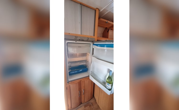 Kitty – MOTORE Geist SPIRIT FIAT Ducato 2.8