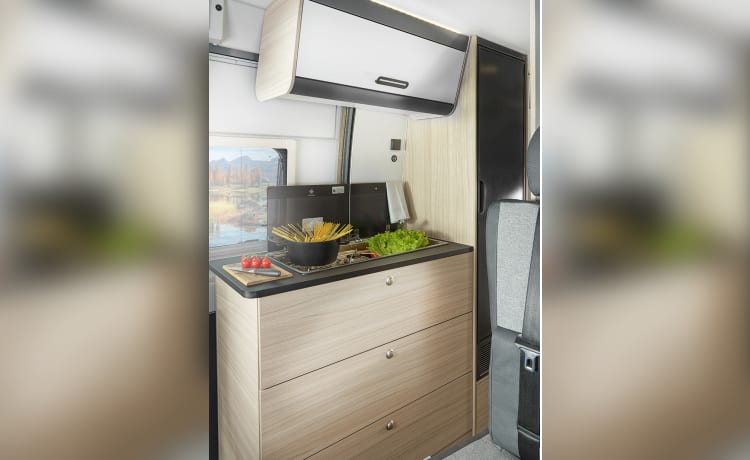 Duke 1 – Brand new and luxurious campervan for 4