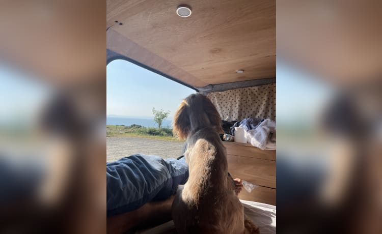 Vera – 4 berth Mercedes-Benz campervan from 2017