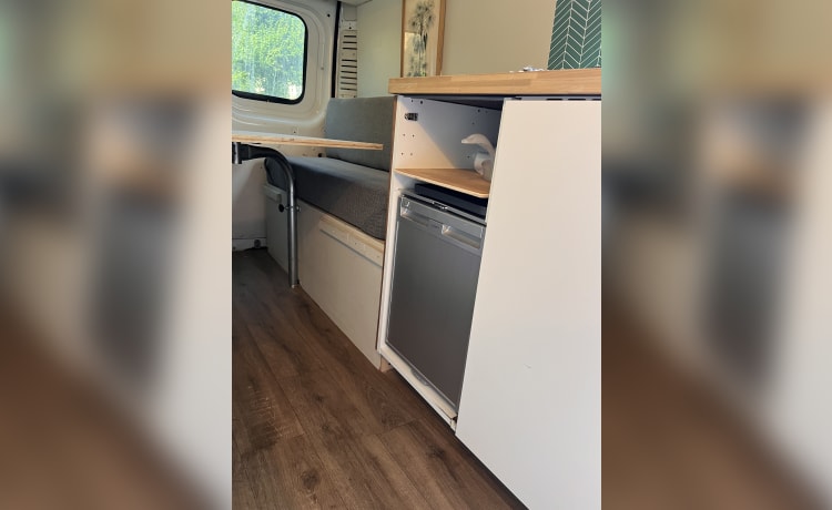 Luv Shack – 3 berth Peugeot campervan from 2016