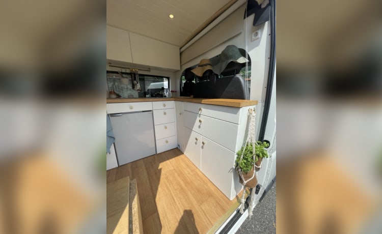 Sallie – 2p Peugeot bus uit 2016