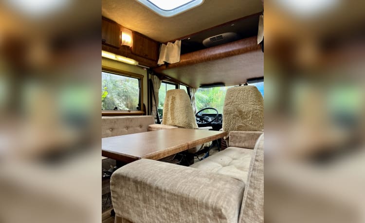 Bruine Beer – Hymer, Brown Bear from 1985 in top condition