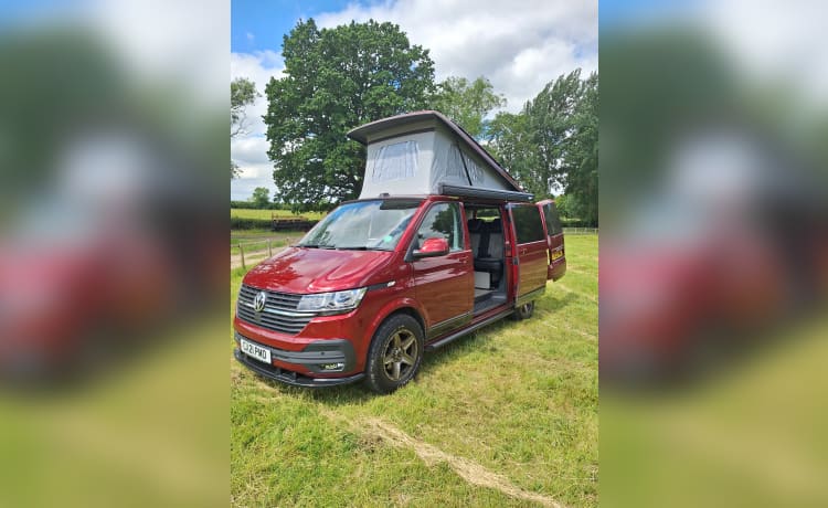 Boris – VW transporter 6.1 