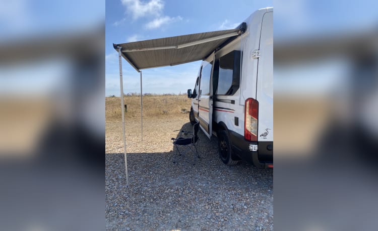 Bruno  – 3 Berth Ford Transit Camper