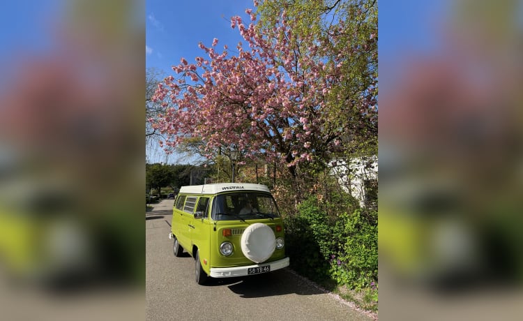 Joyo – Direct het gevoel van vrijheid en vakantie! 4p Volkswagen T2 uit 1976 