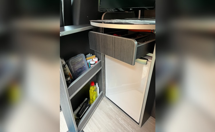 T6 Travis – Camper da trasporto Volkswagen T6 a 4 posti letto 2019