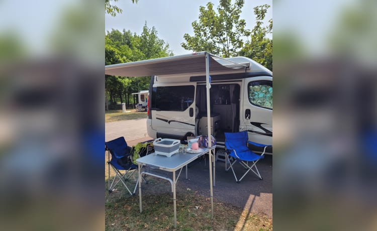 De Prinses – Camping-car Renault pour 2 personnes, peut entrer dans n'importe quelle ville et s'adapte toujours.