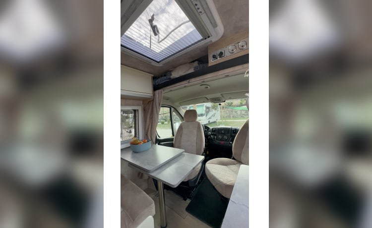 Bowie – Ervaar de vrijheid van reizen in mijn comfortabele camperbus!