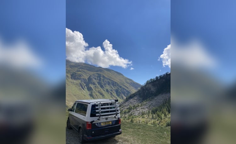 Bertie – 4-persoons VW California campervan 2018