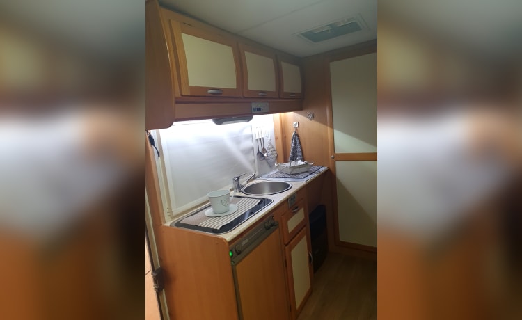 Anto – Camper Mclouis 430 glen