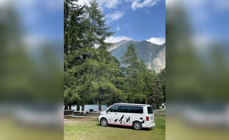 Spantik – 4p Volkswagen California campervan uit 2022