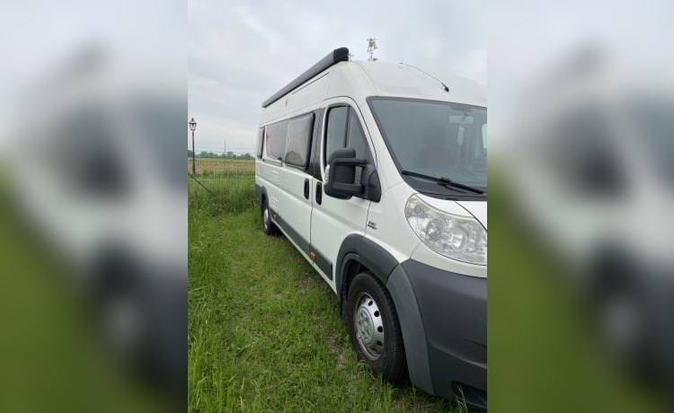 FIAT DUCATO 