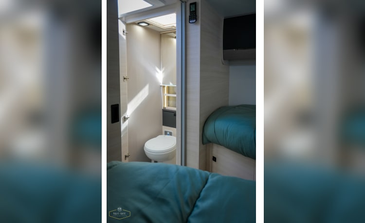 NEW2024! – New Chausson777 [WINTER/SUMMER Edition]