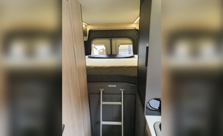 4 berth Auto-trail Expedition 68