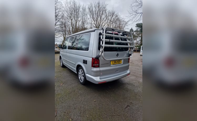 Laya – Volkswagen California 