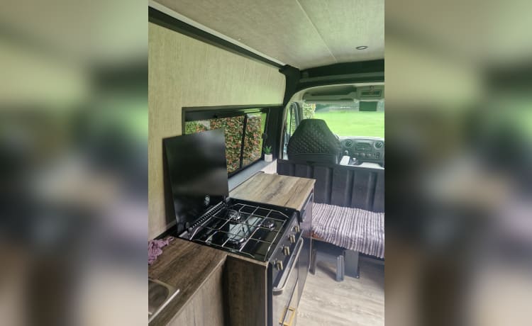 camper – 2p Renault camperbus uit 2015 